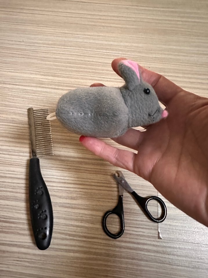 Gri Kedi Bakım Seti: Tarak, Tırnak Makası ve Oyuncak - Görsel 2