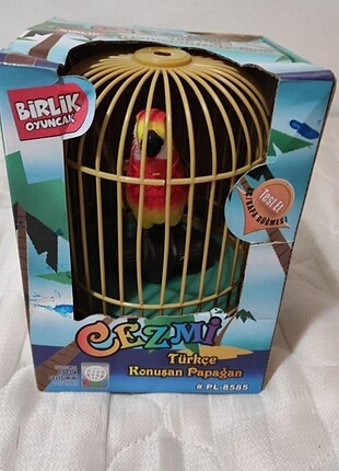 Konuşan papağan Cezmi yeni