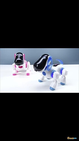 Mikro köpek