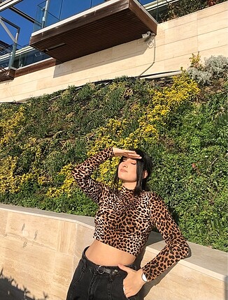 Mango Leopar crop