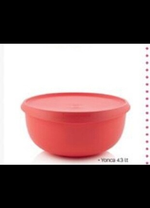 Tupperware yonca 4.3lt 
