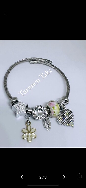 Accessorize Çelik pandora