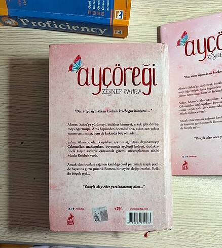  Ayçöreği kitap