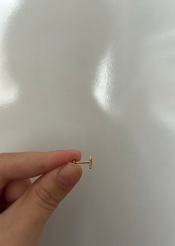 Diğer Titanyum Piercing