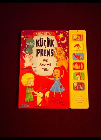 2 adet sesli kitap