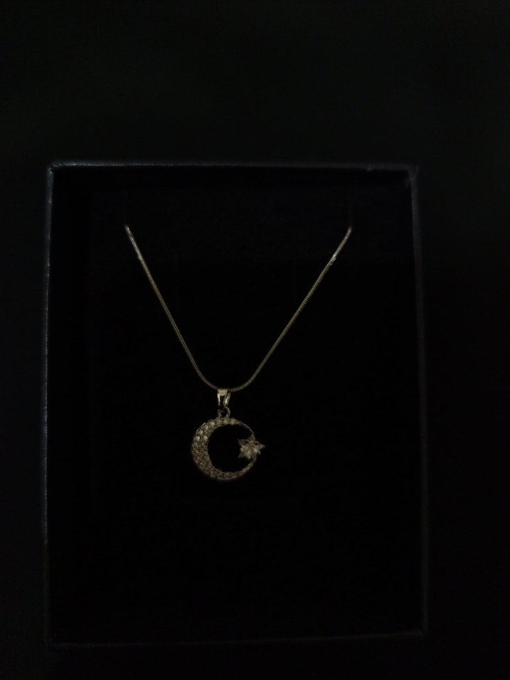 Gümüş renk Ay ve Yıldız Kolye - Görsel 3