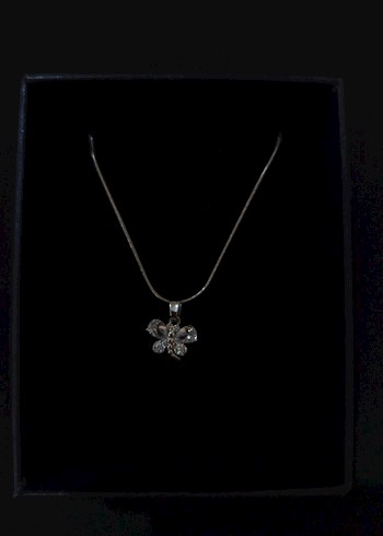 Kelebek Figürlü Mini Zincir Kolye - Görsel 2