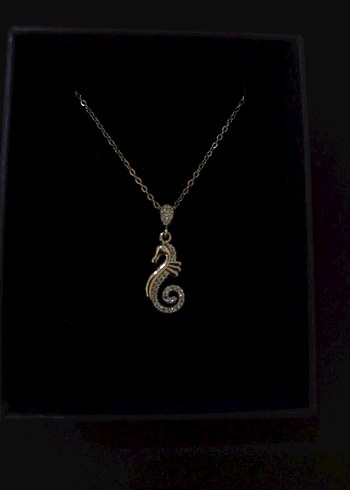 Denizatı Figürlü Kolye - Görsel 8