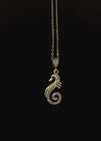 Denizatı Figürlü Kolye - Görsel 5