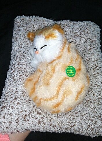 Beden Renk Miyavlayan peluş kedi