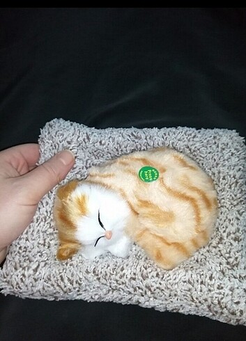 Miyavlayan peluş kedi