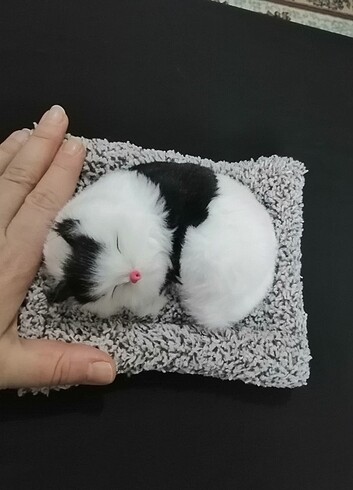 Miyavlayan peluş kedi