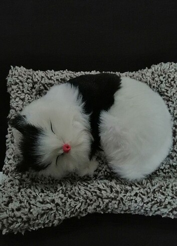  Beden Renk Miyavlayan peluş kedi