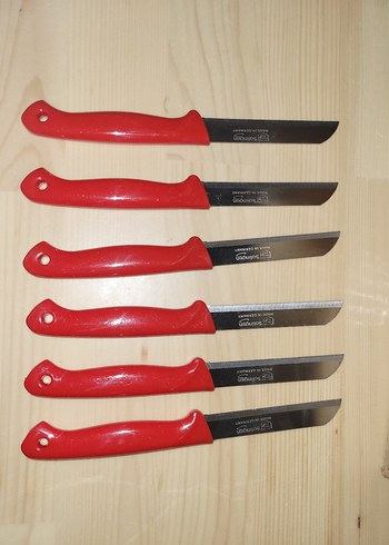 Mor Saplı Meyve Bıçağı Seti - Görsel 3