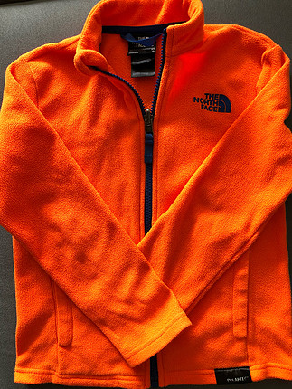 North Face The north face polar