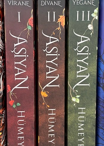 Aşiyan serisi
