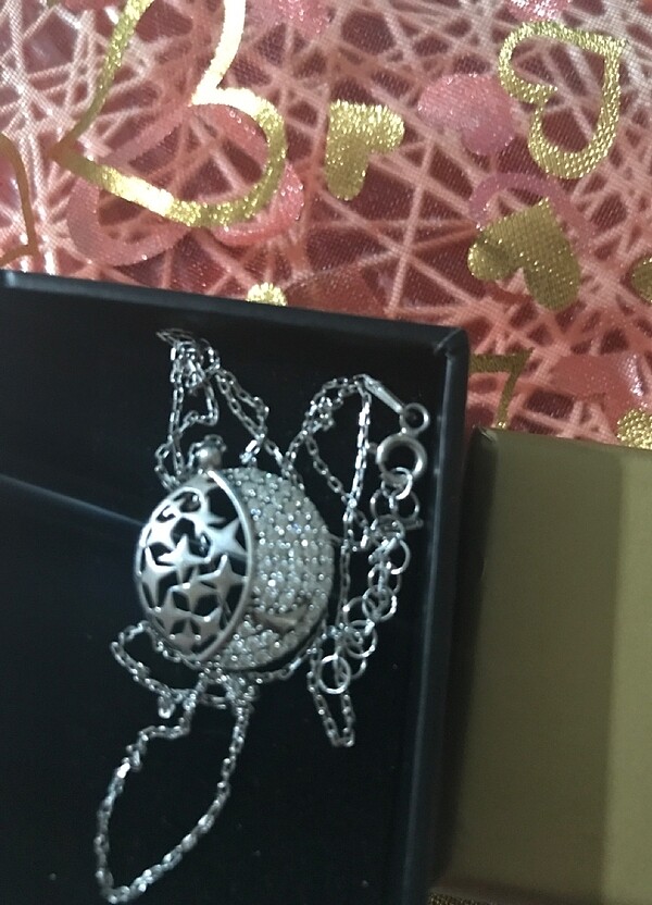 Gümüş kolıye - Görsel 2