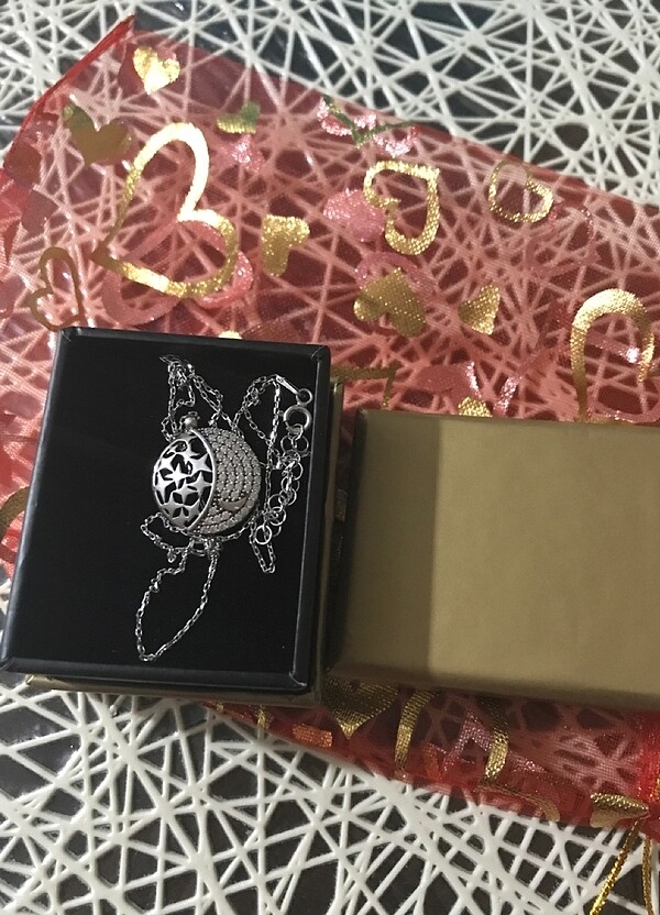 Gümüş kolıye - Görsel 3