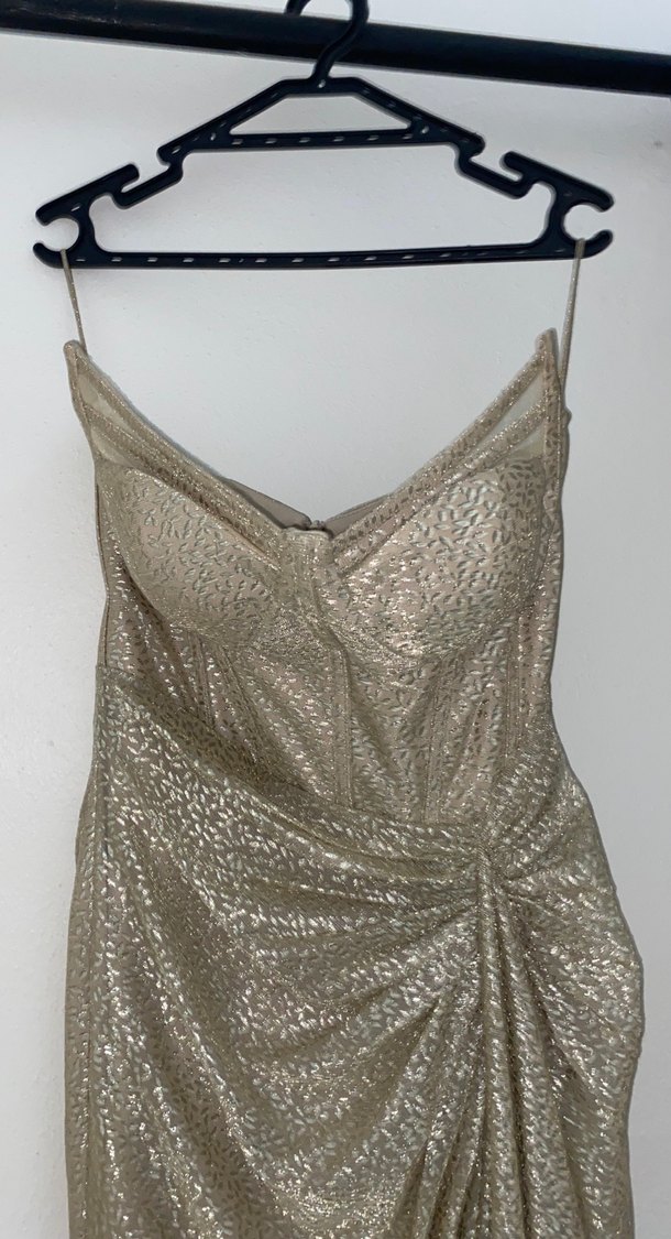 Drapeli Bej Yılan Desenli Uzun Abiye - Görsel 4