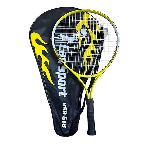 Tenis raketi