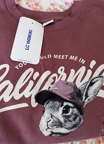 LC Waikiki Sweatshirt