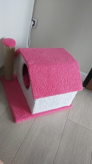  Pembe kedi evi