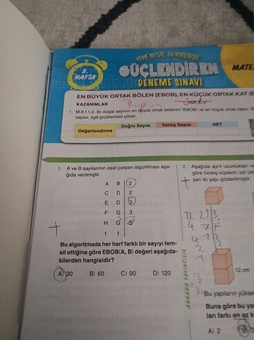  8.sınıf ankara yayınları 32 haftalık matematik denemeleri 