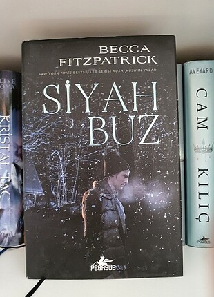 Siyah buz