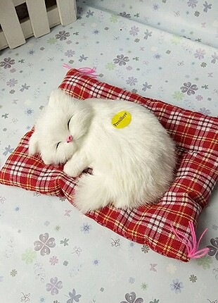 Peluş kedi