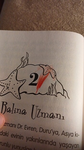 Kart seti - Görsel 14