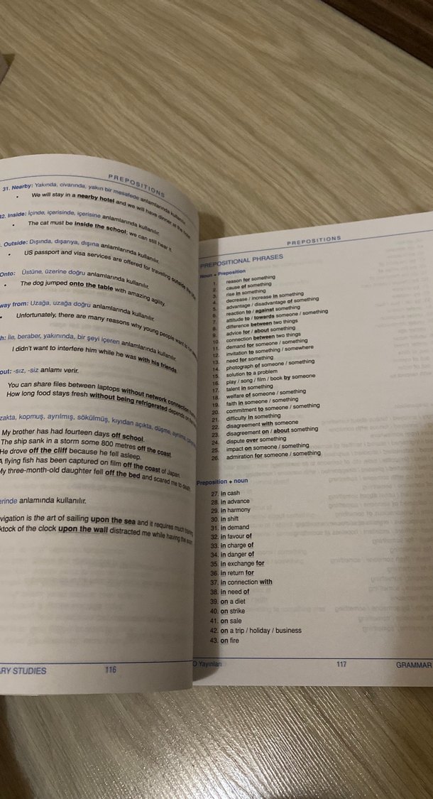 Dilko Grammar & Vocabulary Studies Champion 11.7 - Görsel 3