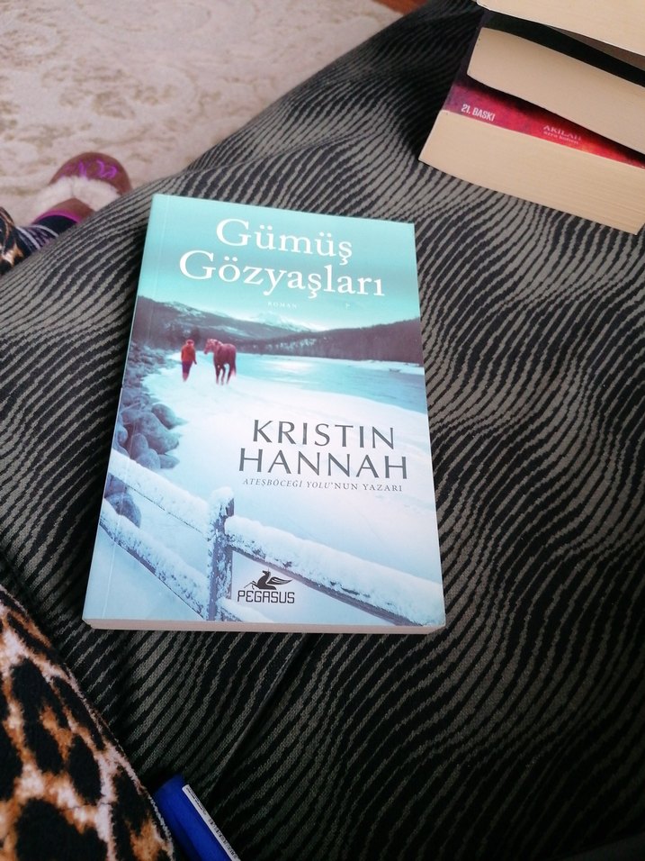 Ailenin ve Aşkın Gücüne Dair Roman - Görsel 2