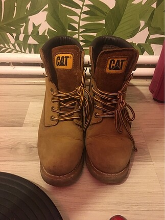 Cat Cat bot