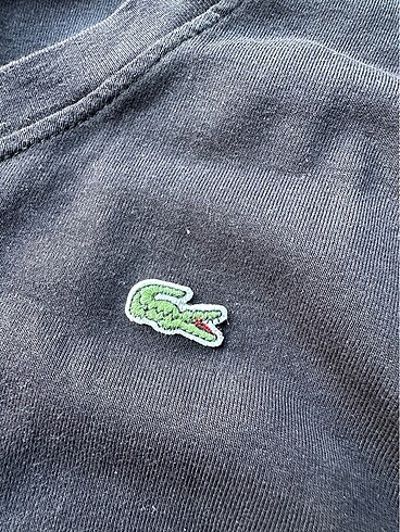 m Beden Lacoste Bluz