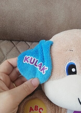 Beden Renk Fisher price eğitici köpekcik