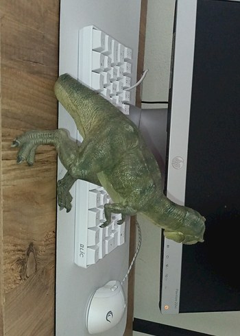 Beden Papo dinozor Trex