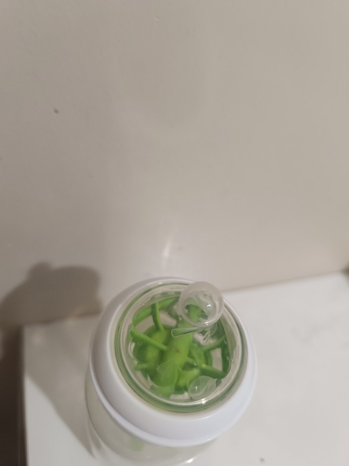 Dr.Brown's Dar Ağız Medikal Bebek Biberonu 250ml - Görsel 3