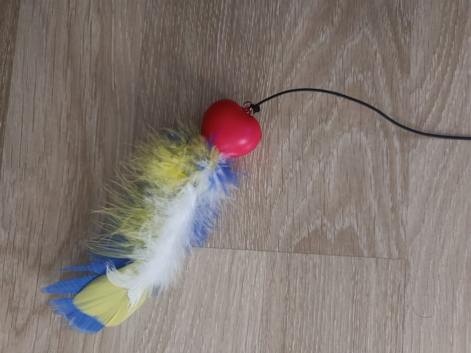 Renkli Tüylü Kedi Oltası Oyuncağı - Görsel 2