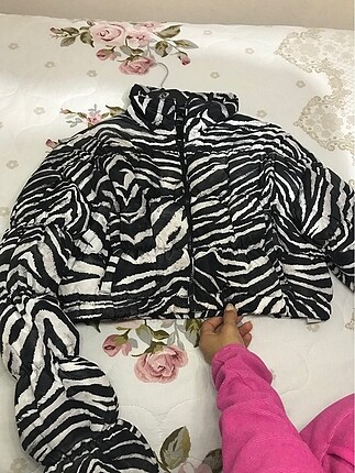 Zebra mont
