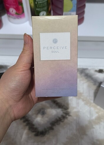 Perceive soul