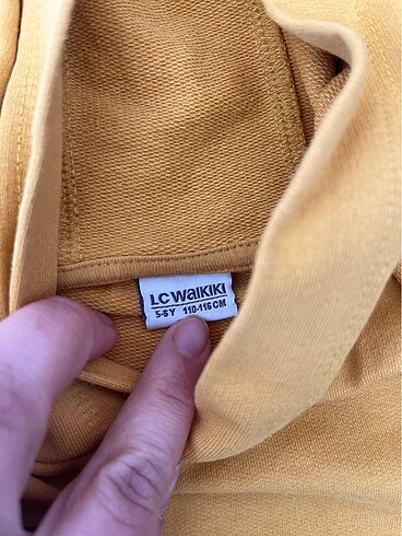 LC Waikiki Sweat