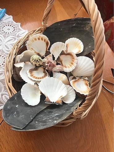 Denız ürünlerı