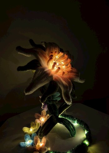 Renkli Işıklı Lotus gece lambası - Görsel 2