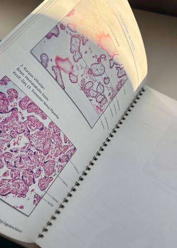 Tıbbi Histoloji-Embriyoloji Uygulama Kılavuzu - Görsel 6