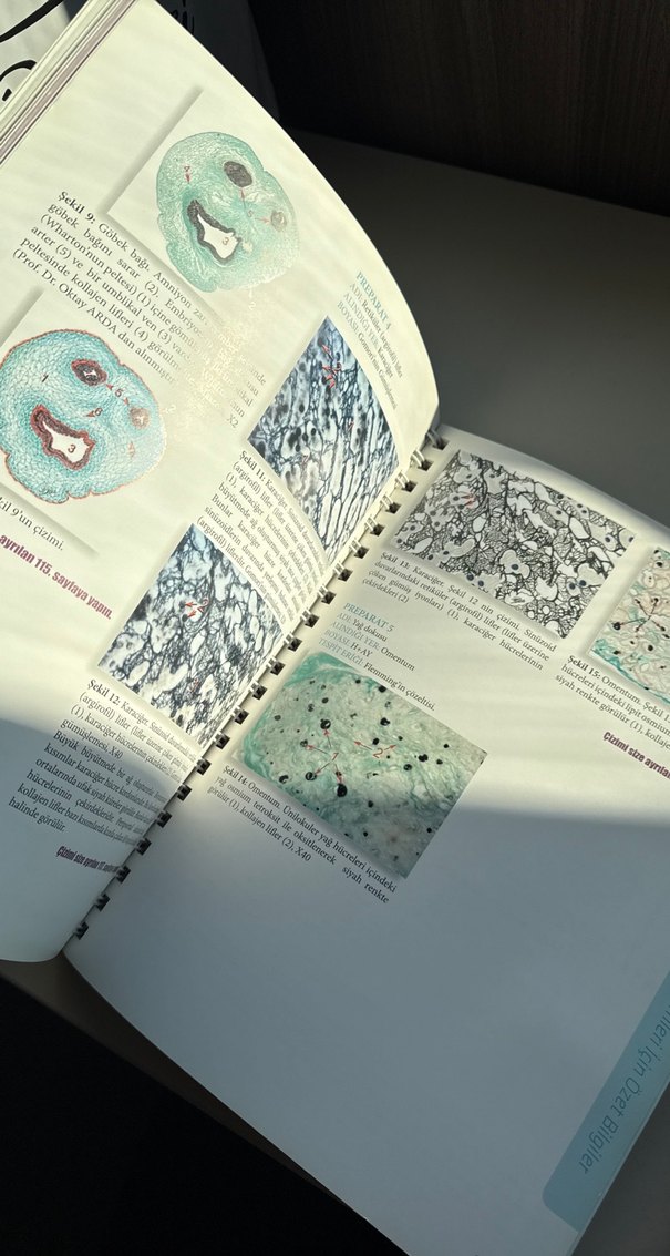 Tıbbi Histoloji-Embriyoloji Uygulama Kılavuzu - Görsel 3