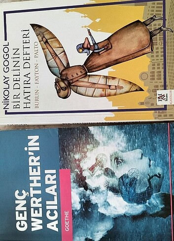 Kitap 2 adet