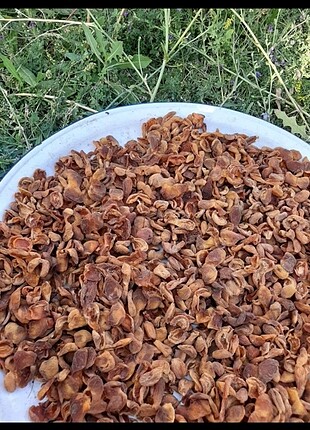 #Kuru #kayısı
