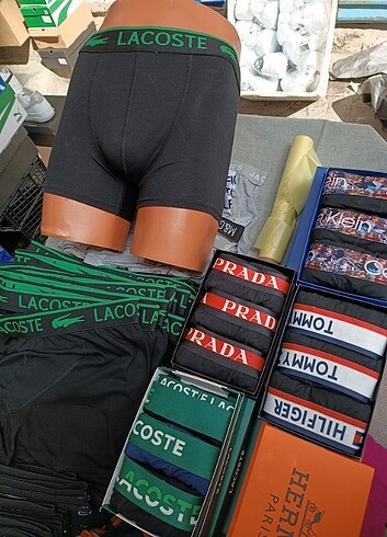 Erkek boxer