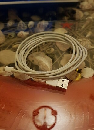 Apple kablosu