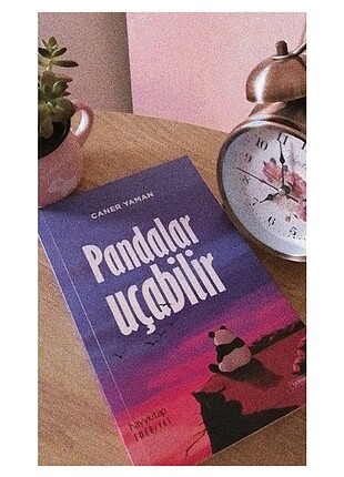 Pandalar Uçabilir